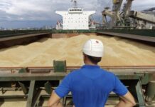 Россия заблокировала зерновые поставки из Украины морским путем: как решают проблему