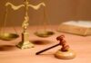 В Одесской области суд вернул в подчинение Минобороны 2,5 тысяч гектар земли