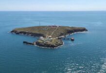 Главнокомандующий ВСУ объяснил, зачем россияне снова наносили удары по острову Змеиный