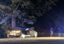 В Одесской области автомобиль врезался в дерево: есть погибший