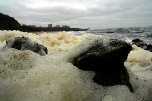Морское капучино: одесское побережье укрыла удивительная пена Морское капучино: одесское побережье укрыла удивительная пена