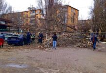 В Одессе упавшее дерево повредило женщине ноги
