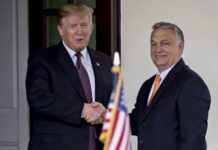 Встреча Виктора Орбана и Дональда Трампа: против кого дружба?