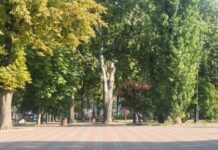 Иллюзион-шоу и спектакль «Путь в Вифлеем»: куда пойти в Одессе в эти выходные