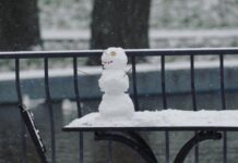 Первый месяц зимы: каким будет декабрь в Одессе