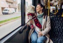 В Минразвития предлагают ввести новые правила перевозки домашних животных в автобусах