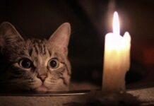 Суббота без электроэнергии: где в Одессе отключили свет
