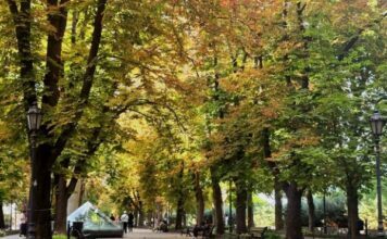 Уже прохладно: какая погода будет в Одессе в эти выходные