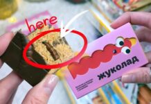 В Украине начали продавать шоколад с настоящими личинками жуков