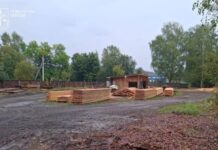 В Одесской области перекрыли канал контрабанды леса в Молдову: среди подозреваемых — депутат