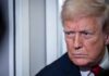 Трамп освобождает финансовых мошенников