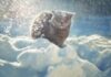Снег, скользко и до -13 °С: какая погода будет в Одессе в эти выходные
