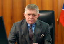 Фіцо припинив постачання електроенергії до України