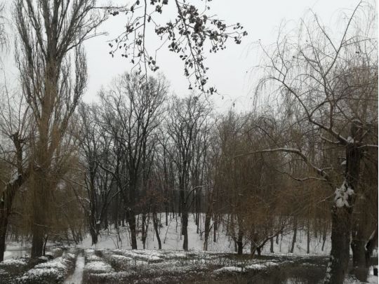 Погода у лютому здивує: синоптик розповів, чого чекати українцям