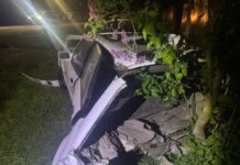 В Одесской области водитель без прав врезался в столб и забор: среди пострадавших несовершеннолетняя
